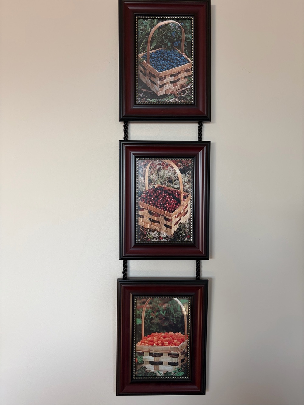 Vintage Triple Tier Hanging Berry Baskets Framed Wall Art | Cottagecore Decor